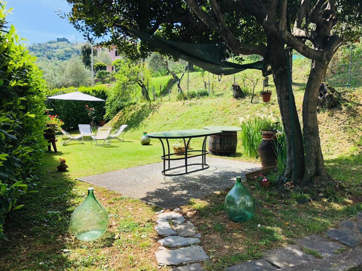 La Collina Di Albiro Affittacamere Arcola Luaran gambar