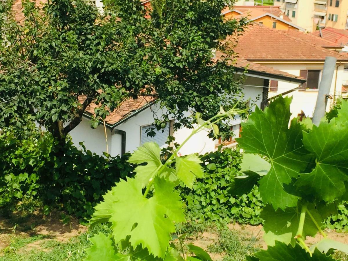 La Collina Di Albiro Affittacamere Arcola Luaran gambar