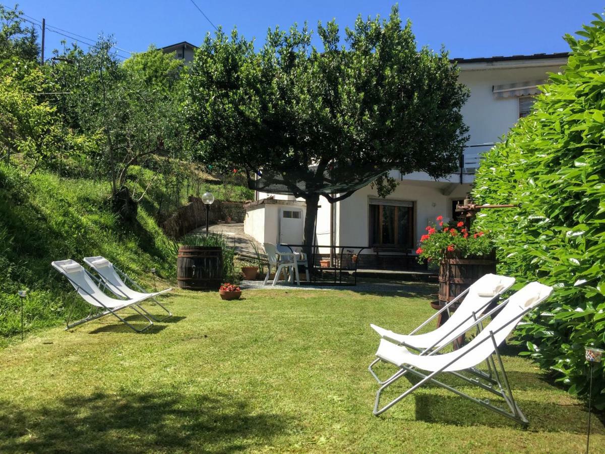 La Collina Di Albiro Affittacamere Arcola Luaran gambar